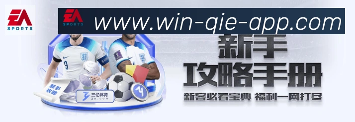 企业概况